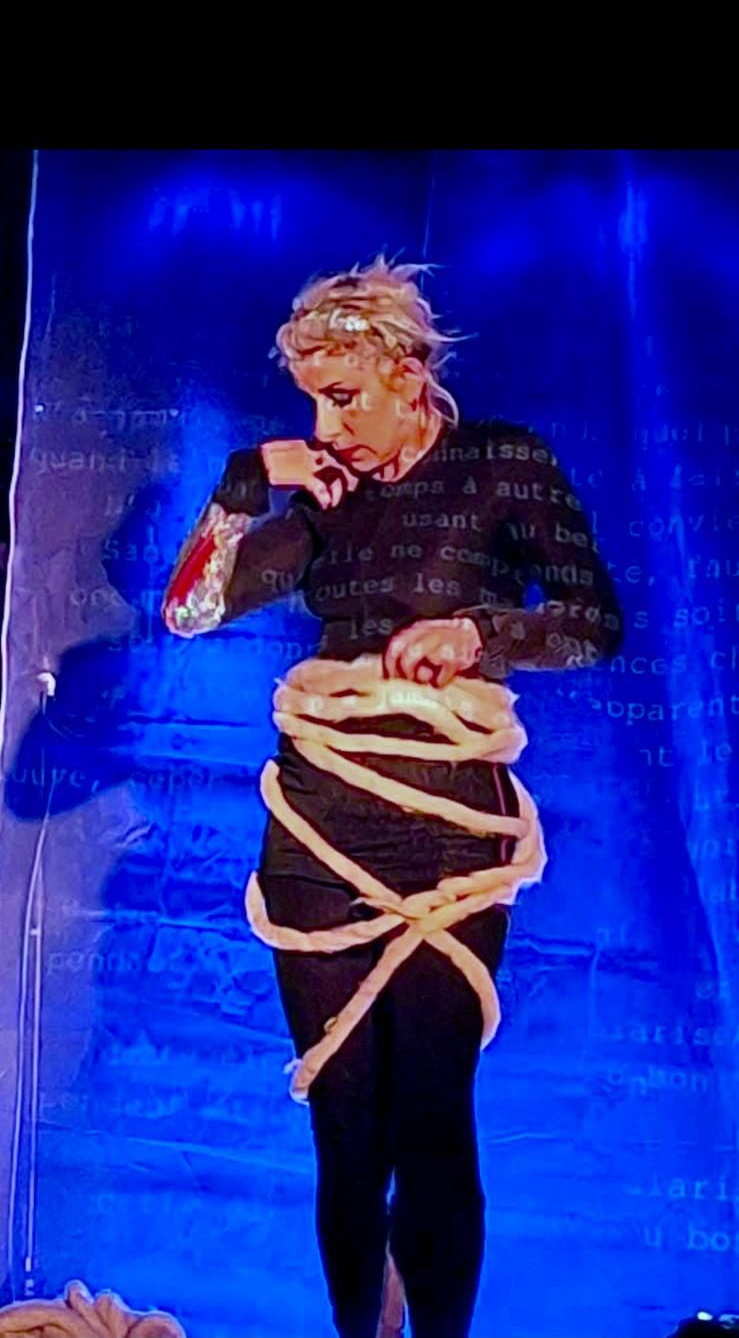 Affiche Princesse des HLM